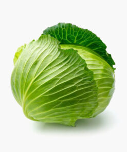 Cabbage Band Gobhi